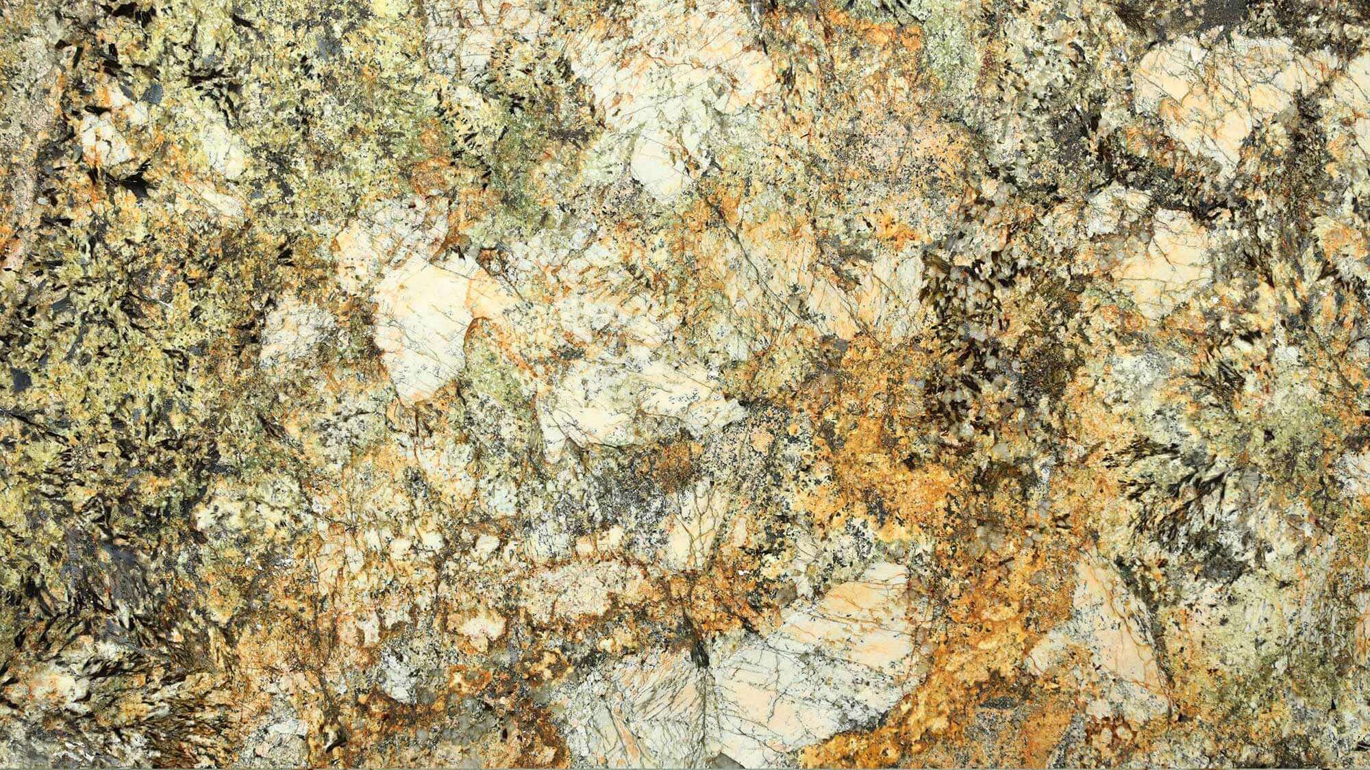 Banner trang ứng dụng