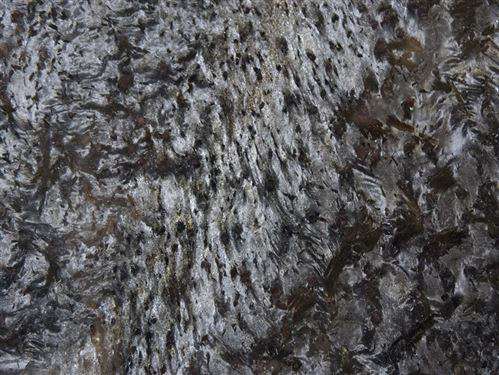 BLACK DRAGON - SANG TRỌNG VÀ HUYỀN BÍ